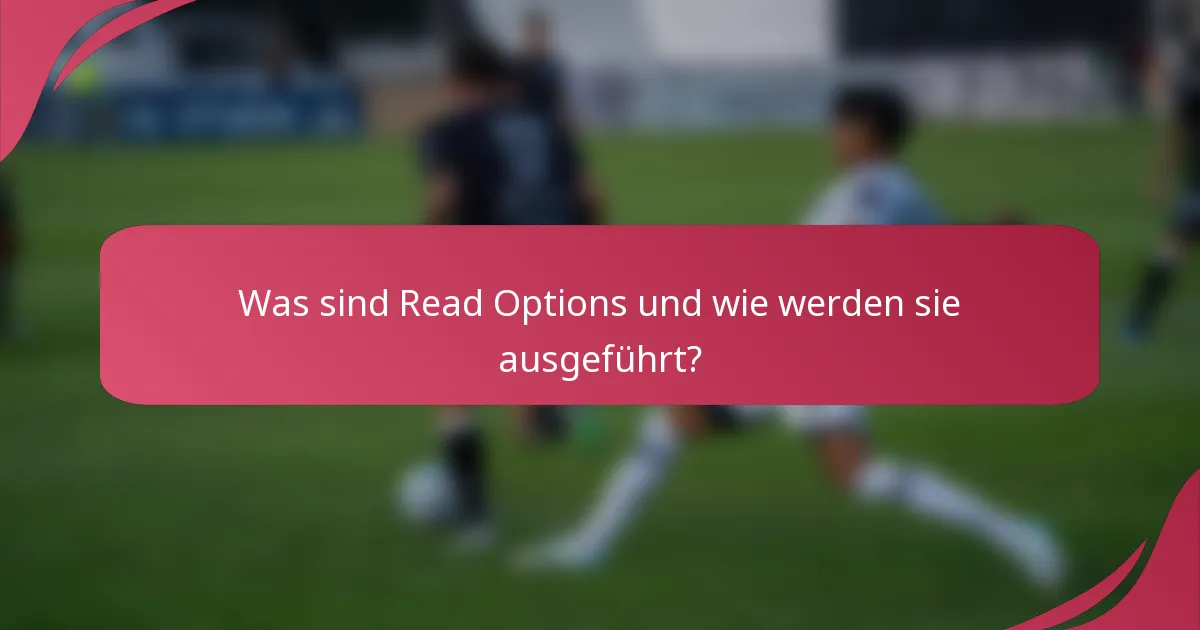 Was sind Read Options und wie werden sie ausgeführt?