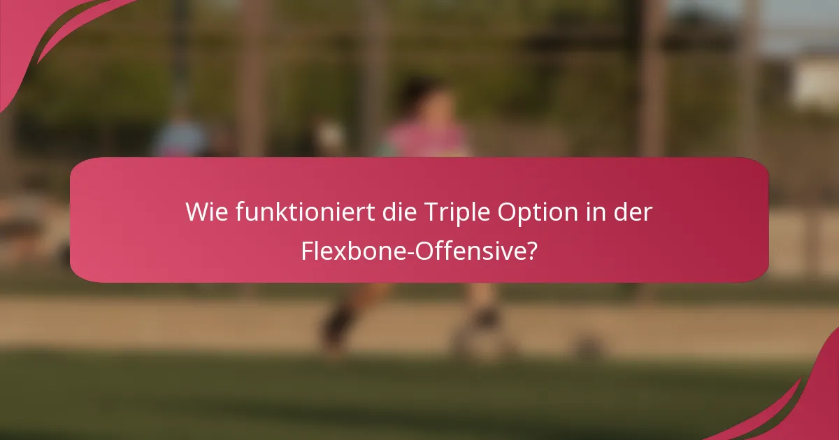 Wie funktioniert die Triple Option in der Flexbone-Offensive?